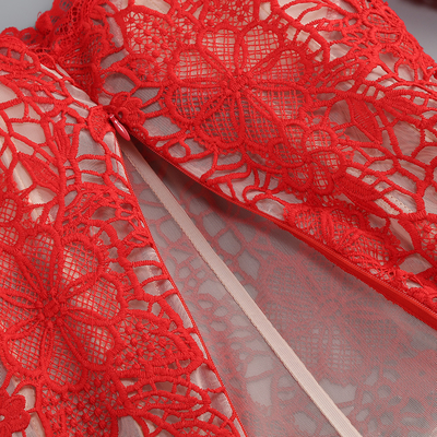 Kimsheinfashion Red Lace Long Sleeve Loose Women's Pants Sexy Women's Clothing SR2374 Two-Piece Set 's Lace Clothing