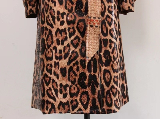 Sophisticated Leopard Print Women's Clothing for Autumn at Prices