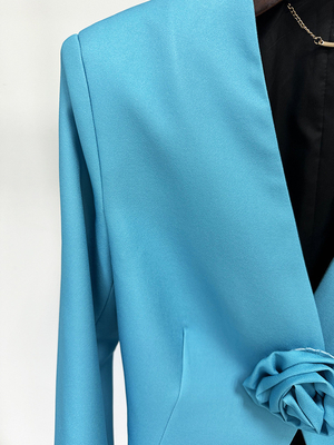 Kimshein Solid Deep V-Neck Long Sleeve Blue Suit Jacket and Pants 2 Piece Set for Women