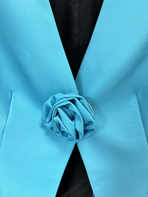 Kimshein Solid Deep V-Neck Long Sleeve Blue Suit Jacket and Pants 2 Piece Set for Women