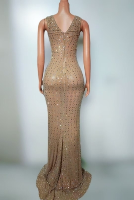 AD2479 Fashionable Luxury Women's Evening Dress Perfect for Formal Occasions and Low Environmental Footprint