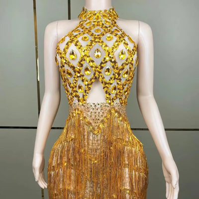 AD1849 Women's end Luxurious Short Skirt Sexy Fringe Sleeveless Dress Elastic Fabric for Modern Dance Elastic Dress