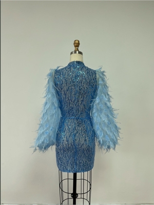 ED2581 Luxury Evening Dress Feather Birthday Dress Sequin Dress Women's Party Dress Elegant Full Sleeve None Print Method