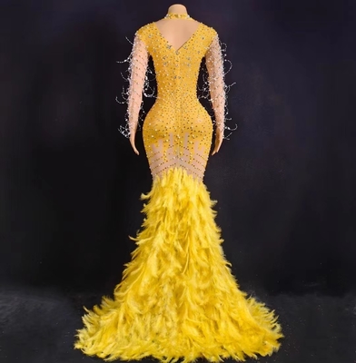 AD2048 Long Sleeve Party Dress for Women's Birthday Unique Feather and Crystal Embellishments from Guangdong