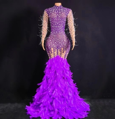 AD2048 Long Sleeve Party Dress for Women's Birthday Unique Feather and Crystal Embellishments from Guangdong