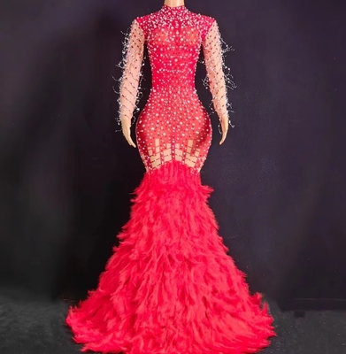 AD2048 Long Sleeve Party Dress for Women's Birthday Unique Feather and Crystal Embellishments from Guangdong