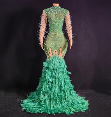 AD2048 Long Sleeve Party Dress for Women's Birthday Unique Feather and Crystal Embellishments from Guangdong