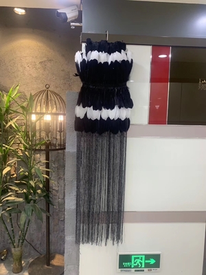 Straight Knife ED2512 Elegant Feather Dress for Women's Evening Party Luxurious Fringe Dance Dress Sexy Fringe and Tassels