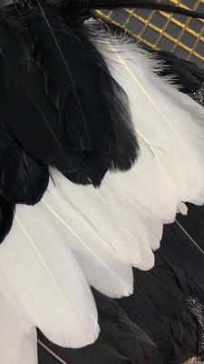 Straight Knife ED2512 Elegant Feather Dress for Women's Evening Party Luxurious Fringe Dance Dress Sexy Fringe and Tassels