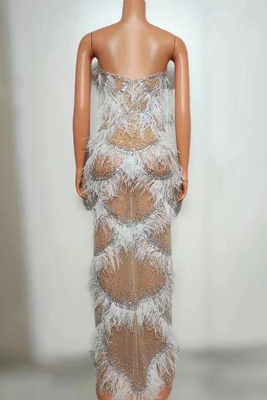 AD2262 Kimshein Mature Women's Fashion Crystal Party Dress with Feather Trimmed Detail and Intelligent Tracking Support
