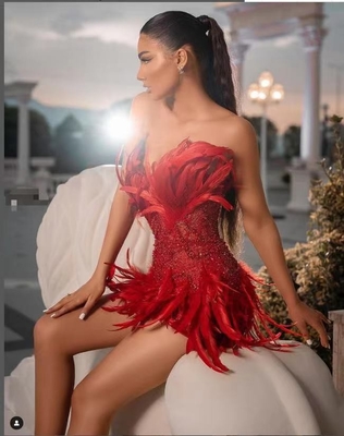 ED2346 Shimmering Sequin and Feather Evening Dress Sleeveless and Strapless Perfect for Dance Party 7 Days Fast Sampling