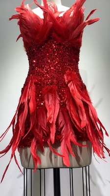 ED2346 Shimmering Sequin and Feather Evening Dress Sleeveless and Strapless Perfect for Dance Party 7 Days Fast Sampling