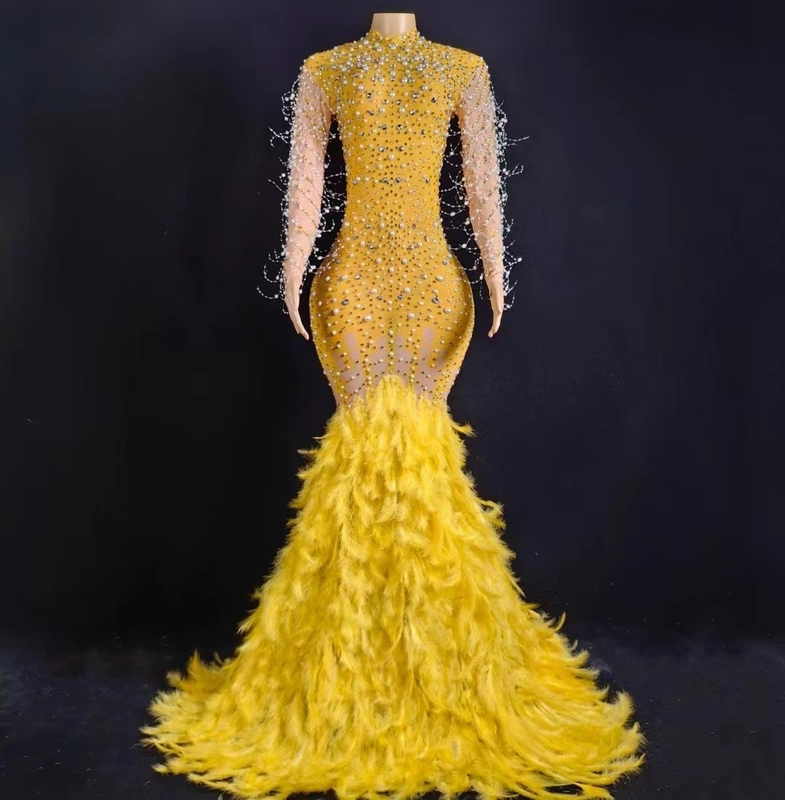 AD2048 Long Sleeve Party Dress for Women's Birthday Unique Feather and Crystal Embellishments from Guangdong