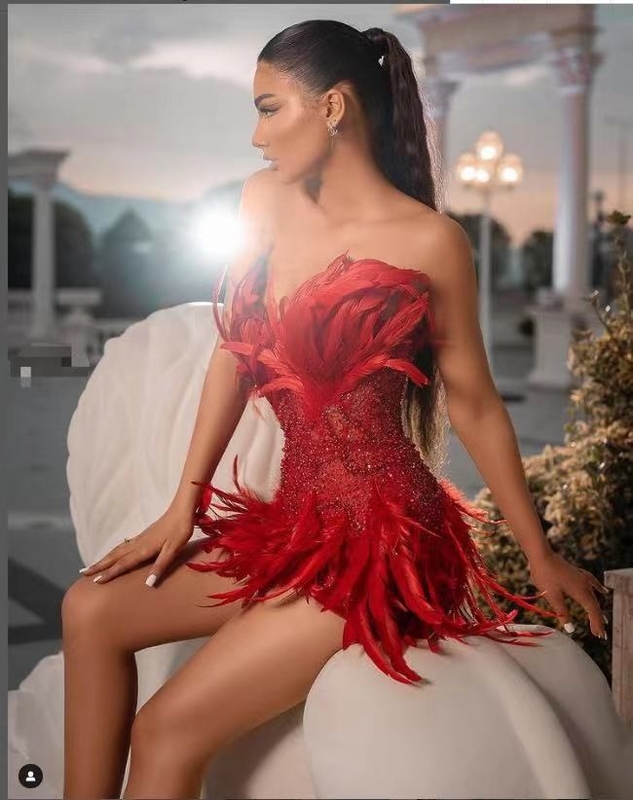 ED2346 Shimmering Sequin and Feather Evening Dress Sleeveless and Strapless Perfect for Dance Party 7 Days Fast Sampling